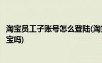 淘宝员工子账号怎么登陆(淘宝子账号设置后员工可以登录淘宝吗)