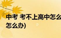中考 考不上高中怎么办(孩子中考考不上高中怎么办)