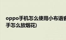 oppo手机怎么使用小布语音在屏幕上放烟花(oppo语音助手怎么放烟花)