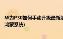 华为P30如何手动升级最新版鸿蒙系统(华为p30自动升级了鸿蒙系统)