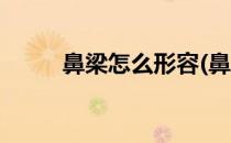 鼻梁怎么形容(鼻梁怎么形容好听)