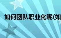 如何团队职业化呢(如何打造职业化的团队)
