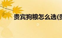 贵宾狗粮怎么选(贵宾狗粮怎么选购)