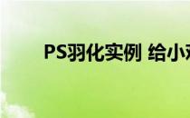 PS羽化实例 给小鸡换上美女的眼睛