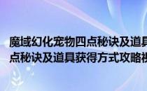 魔域幻化宠物四点秘诀及道具获得方式攻略(魔域幻化宠物四点秘诀及道具获得方式攻略视频)