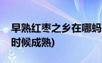 早熟红枣之乡在哪蚂蚁新村答案(蚂蚁枣什么时候成熟)