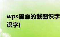 wps里面的截图识字怎么使用(wps怎么看图识字)