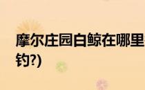 摩尔庄园白鲸在哪里钓(摩尔庄园白鲸在哪里钓?)