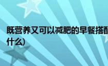 既营养又可以减肥的早餐搭配(既营养又可以减肥的早餐搭配什么)