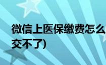 微信上医保缴费怎么交(微信上医保缴费怎么交不了)