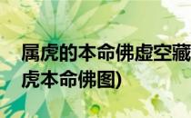 属虎的本命佛虚空藏菩萨详解(虚空藏菩萨属虎本命佛图)