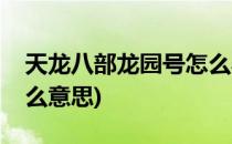 天龙八部龙园号怎么弄(天龙八部龙园号是什么意思)