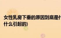 女性乳房下垂的原因到底是什么(女性乳房下垂的原因到底是什么引起的)
