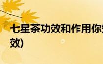 七星茶功效和作用你知多少(七星茶的成份 功效)