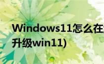 Windows11怎么在线升级(win10怎么在线升级win11)