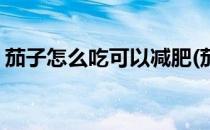 茄子怎么吃可以减肥(茄子怎么吃可以减肥呢)