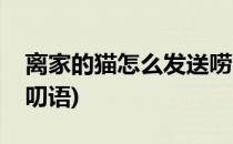 离家的猫怎么发送唠叨(离家的猫怎么发送唠叨语)