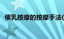 催乳按摩的按摩手法(催乳按摩的基本手法)
