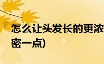 怎么让头发长的更浓密(怎么让头发长的更浓密一点)