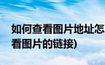 如何查看图片地址怎么查看图片链接(怎么查看图片的链接)