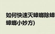 如何快速灭蟑螂除蟑螂小妙招(怎么快速消灭蟑螂小妙方)