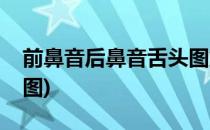 前鼻音后鼻音舌头图解(后鼻音舌头发音示意图)