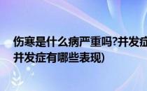 伤寒是什么病严重吗?并发症有哪些(伤寒是什么病,严重吗?并发症有哪些表现)
