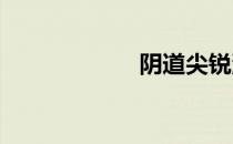 阴道尖锐湿尤图片