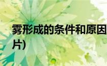 雾形成的条件和原因(雾形成的条件和原因图片)