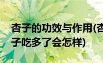 杏子的功效与作用(杏子的功效与作用禁忌杏子吃多了会怎样)