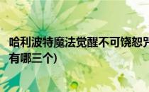 哈利波特魔法觉醒不可饶恕咒是哪三个(哈利波特不可饶恕咒有哪三个)