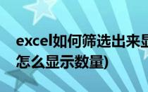 excel如何筛选出来显示数量(excel筛选里面怎么显示数量)