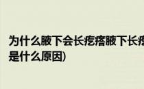 为什么腋下会长疙瘩腋下长疙瘩怎么回事(腋下长了一些疙瘩是什么原因)