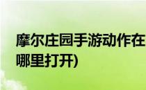 摩尔庄园手游动作在哪(摩尔庄园手游动作在哪里打开)