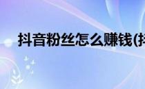 抖音粉丝怎么赚钱(抖音怎么赚粉丝的钱)