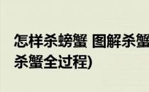怎样杀螃蟹 图解杀蟹全过程(怎样杀螃蟹图解杀蟹全过程)