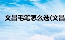 文昌毛笔怎么选(文昌局的毛笔要选什么色)