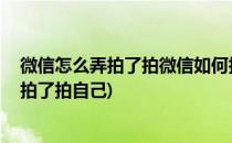 微信怎么弄拍了拍微信如何拍拍你(微信怎么弄的拍了拍你 拍了拍自己)