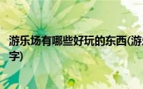 游乐场有哪些好玩的东西(游乐场有哪些好玩的东西叫什么名字)