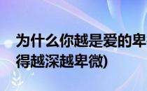 为什么你越是爱的卑微越是伤的深(为什么爱得越深越卑微)