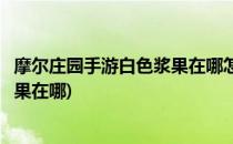 摩尔庄园手游白色浆果在哪怎么获得(手机版摩尔庄园白色浆果在哪)