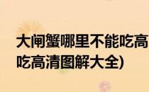 大闸蟹哪里不能吃高清图解(大闸蟹哪里不能吃高清图解大全)