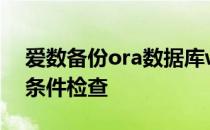 爱数备份ora数据库windows环境备份前置条件检查