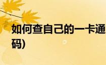 如何查自己的一卡通(如何查自己的一卡通号码)