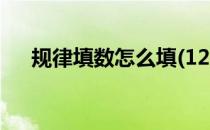 规律填数怎么填(1247规律填数怎么填)