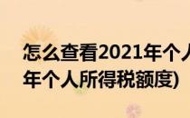 怎么查看2021年个人所得税(怎么查看2021年个人所得税额度)
