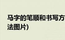马字的笔顺和书写方法(马字的笔顺和书写方法图片)