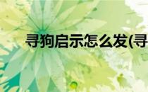 寻狗启示怎么发(寻狗启示怎么发感人)