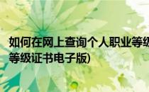 如何在网上查询个人职业等级证书(如何在网上查询个人职业等级证书电子版)