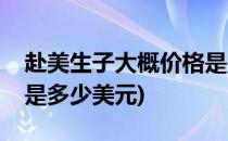 赴美生子大概价格是多少(赴美生子大概价格是多少美元)